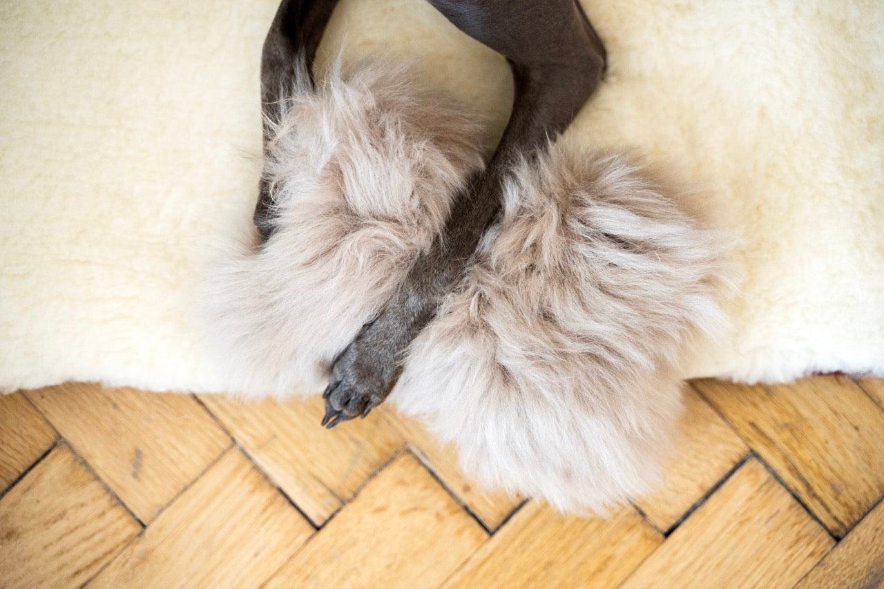 Hundespielzeug aus natürlichem Schaffell - Knochen - Beige