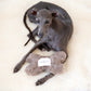 Natural Woolen Dog Toy - Bone - Charcoal