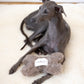 Natural Woolen Dog Toy - Bone - Beige