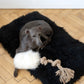 Natural Sheepskin Dog White Tug Toy 