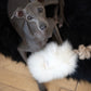 Natural Sheepskin Dog White Tug Toy 