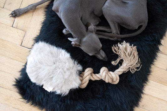 Natural Sheepskin Dog Tug Toy Beige