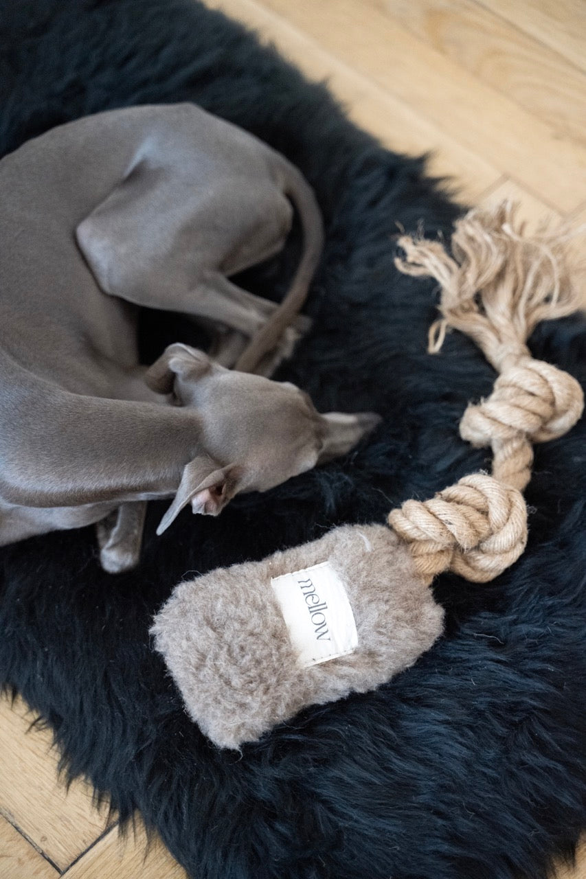 Natural Woolen Dog Tug Toy Beige