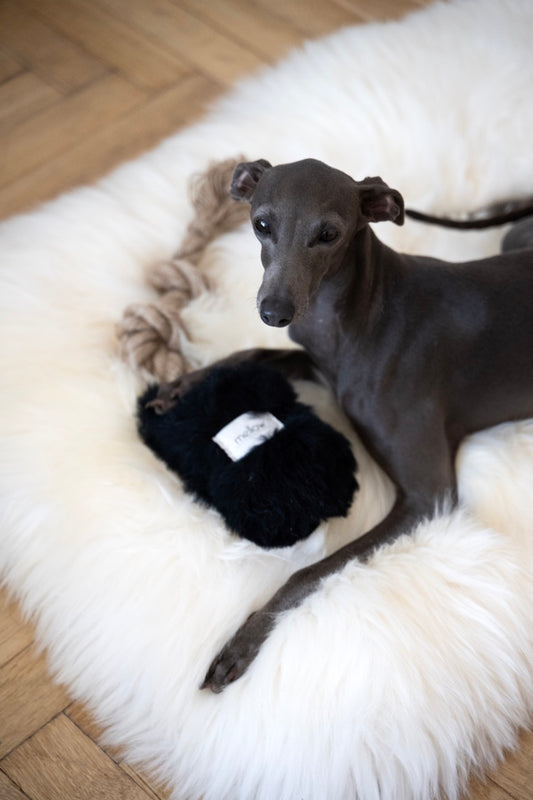 Natural Black Sheepskin Dog Tug Toy  