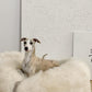 A greyhound dog lounging on a cozy Oval Natural Sheepskin Pet Bed from Mellow Pet Store.