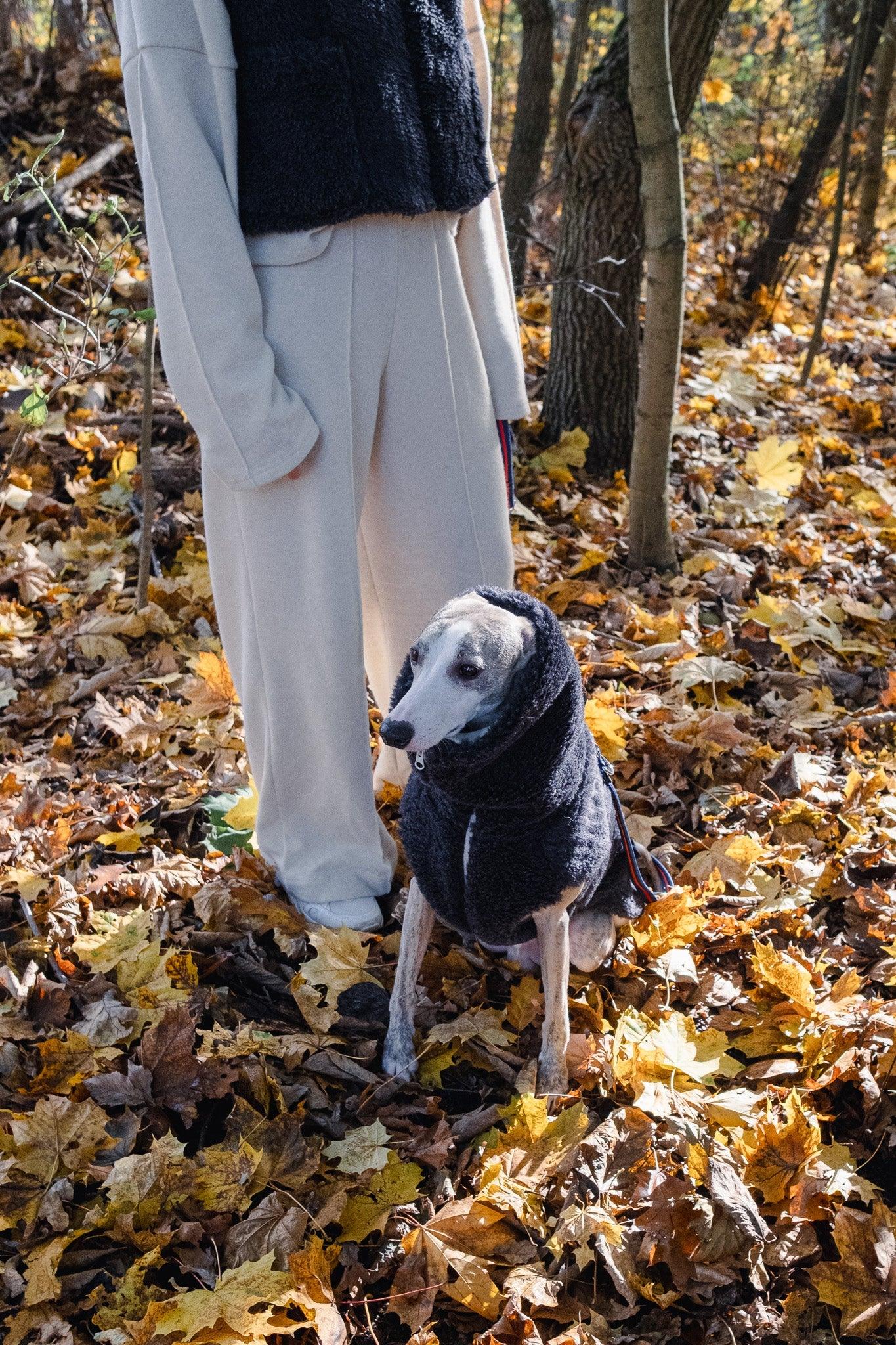 A woman standing in the woods with her Mellow Pet Store Woolen Dog Vest in Charcoal on her greyhound dog.