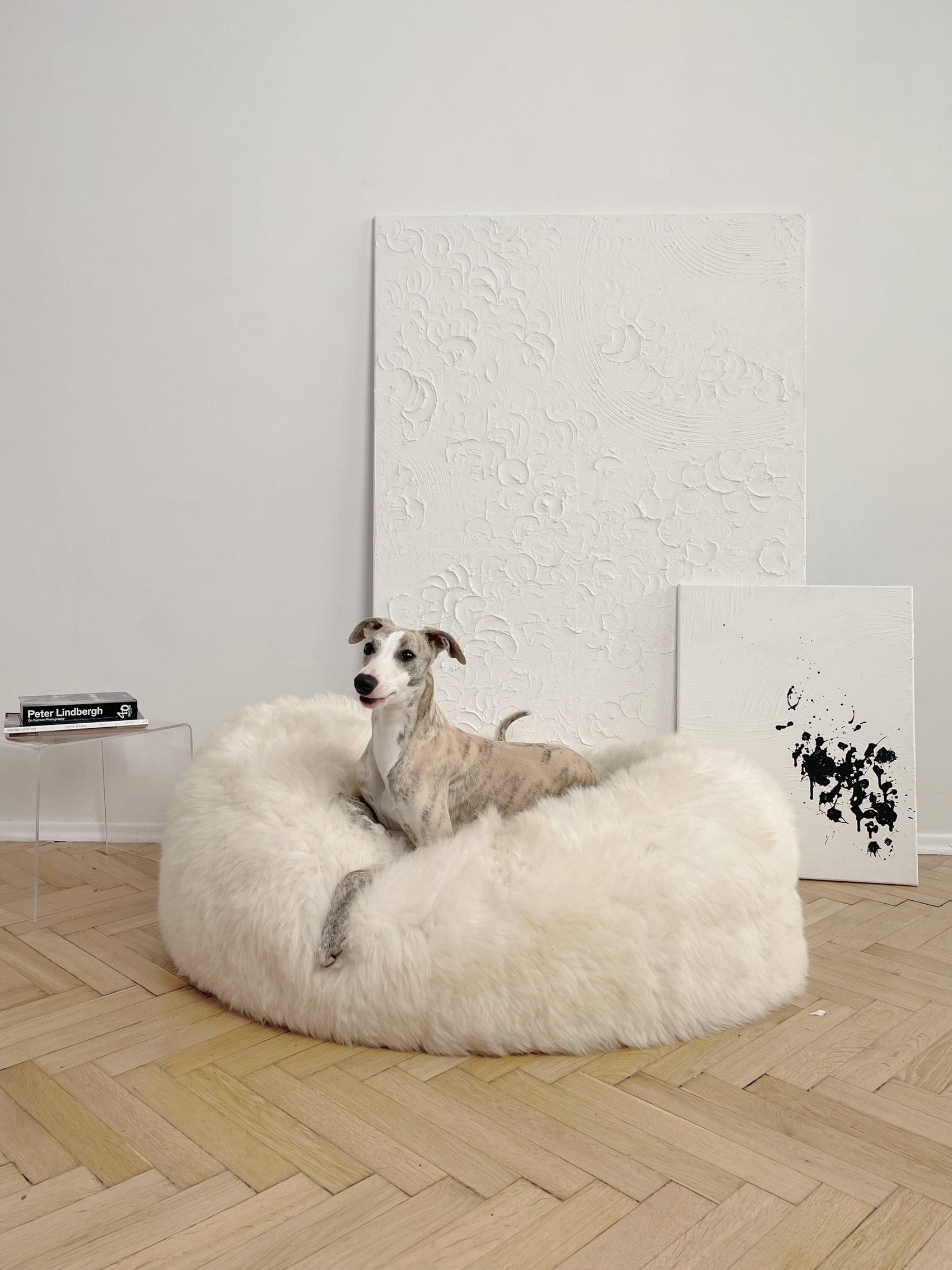 Natural Dog Beds Made for Real Living